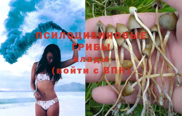МДПВ Майский