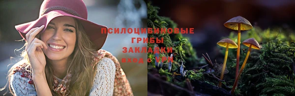 МДПВ Майский