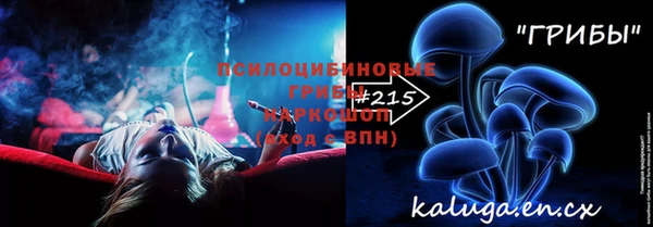 МДПВ Майский