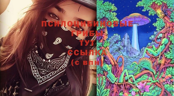 МДПВ Майский