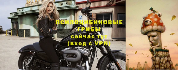 эйфоретик Магас