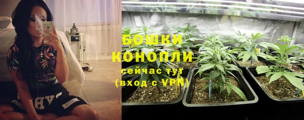 эйфоретик Магас