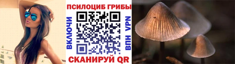 Галлюциногенные грибы мицелий Калуга