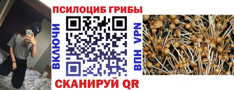 Купить где  Калуга  Галлюциногенные грибы прущие грибы 